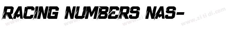 Racing Numbers Nas字体转换